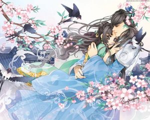董小宛现世失身